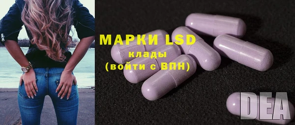 ПСИЛОЦИБИНОВЫЕ ГРИБЫ Баксан