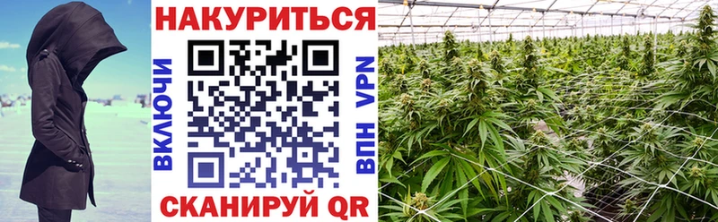 Конопля MAZAR Богучар
